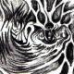 Ensnared