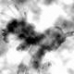 Avian Mist Decend