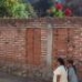 Brick Wall