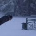 Falling Into Snow