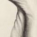 Arched Foot