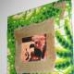 Fabric Frame: Environmental Sustainability