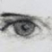 In the eyes of a refugee
