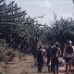 Hiking in the Spiny Forest