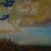 Sugarcane Fields12