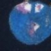 LIFE ON EARTH