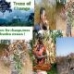 Trees for change, trees unburden women !