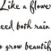 Beautiful