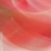 Flora flow