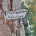 Eatonville Telephone Poll And Line
