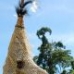 bird dance (mbikao)#2