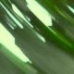 The Land Is Green