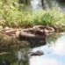 la dégradation de l'environnement