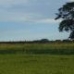 Campo e Céu