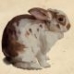 Arte Animalista y Naturalista