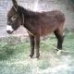 El miedo no anda en burro.!!!