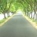 Road view of kishoreganj