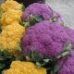 Farmer's Market Cauliflower