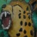 parts of different animals