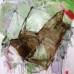 composition 52