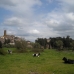 Sutri