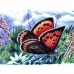 butterfly 7