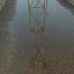 Industry Marks Appear Everywhere