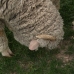 BAaAA