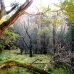 ireland 2007
