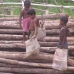 5-6yrs boy collecting garbage