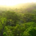 Tikal