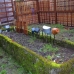 GPJ Accra Garden!!!