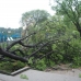 Historic Tornado Hits Queens NY Sept. 2010