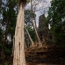 EpiphiteTemple