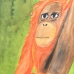 Ranga Day Artwork