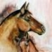 Mare and Foal