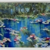 Dancing water lilies