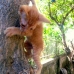 Kitty can you make it?