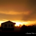 Yellow Sky