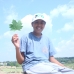 Stay Cool Stay Green!