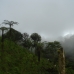 In the Mountains, Las Tolas