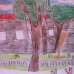 garden6