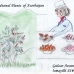 Research Work about Medicinal Plants by Gulzar Asvarova