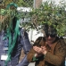 DeforestAction Green Day