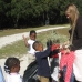 Making the Scarecrow