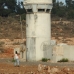 Palestine 5
