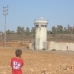 Palestine 8