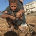 Palestine 10