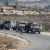 Palestine 12