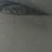 Wing